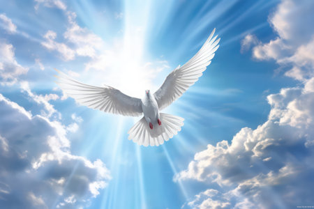 White pigeon with wings wide open in the air, blue sky and sunlight.の素材