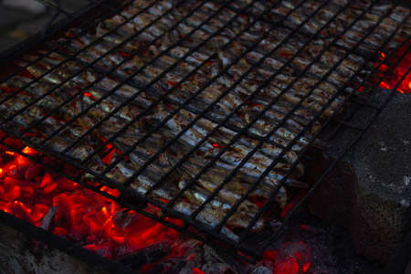Preparation for grilling anchovies on charcoal. Ordered fishes in rows and columns. Vitamins and minerals.の写真素材