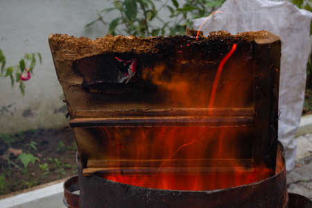 Huge burning wooden pieces in a barrel. Sparkling fireの写真素材