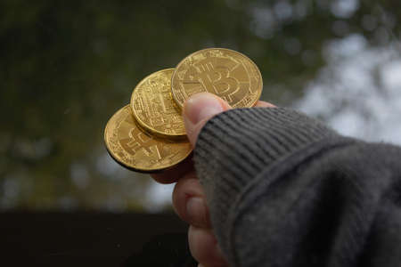 Man hand holding some bitcoin in different variations. Bitcoin is the most valuable currency on the earth for now.の写真素材