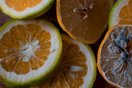 Moldy lemon slices together with lime and oranges on a wooden cutting boardの写真素材