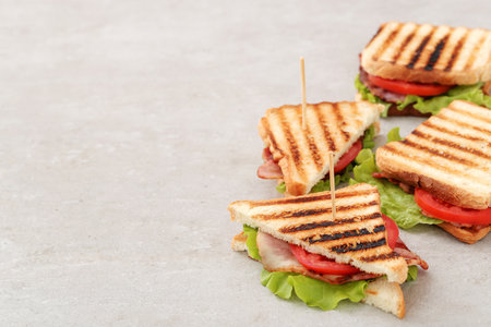 Some toasted bread sandwiches on graphite background