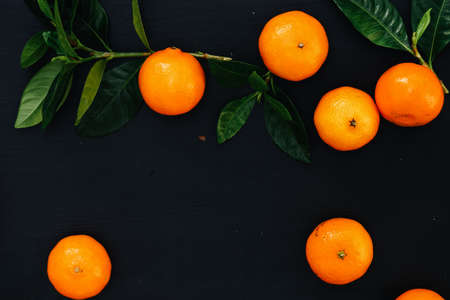 Mandarins on the tableの写真素材