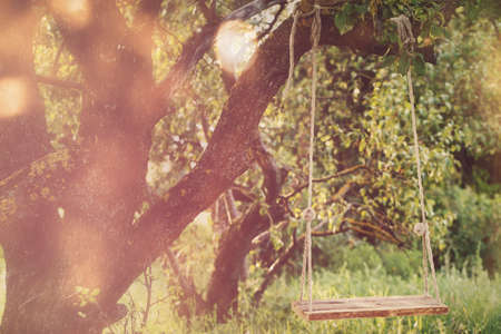 Empty swing in the park