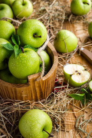 Green Apples on Tableの写真素材