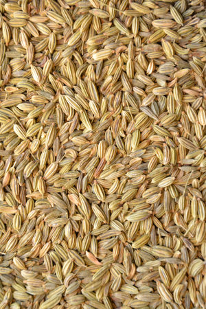 Fennel seeds texture together grains ready to plantの写真素材