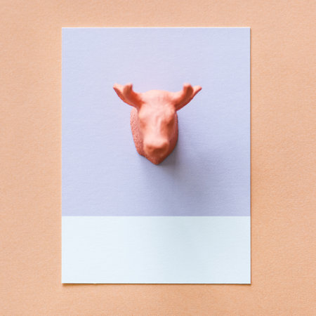 Flay lay of a miniature toy mooses head on a spaced cardboard frameの写真素材