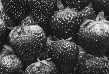 Close up of strawberriesの写真素材