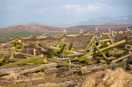 Random and big wood blocks on a field