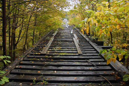 stairways leading to the sunlight covered with treesの写真素材