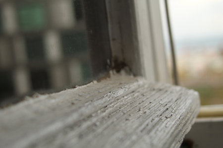 Samsun,Turkey - November 19, 2022 Turkish style cemetery with stone structures for dead people. high quality photoのeditorial素材