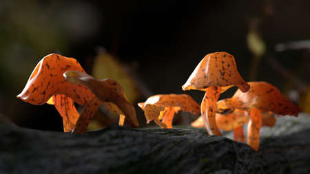3D rendering of mushrooms on a tree trunk lighted by sunの写真素材