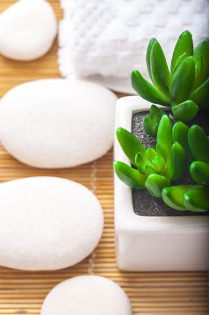 Spa Settings on beige  thin bamboo mat: green flower, stones, towel and mat.の写真素材