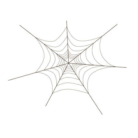 Spider web on white background, vector illustration with spider web, black and white illustrationのイラスト素材