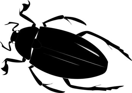 Black schematic beetle on a white backgroundのイラスト素材