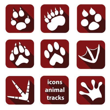 Flat icon animalのイラスト素材
