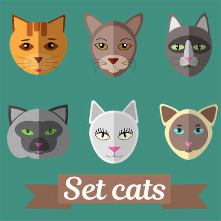 Set of cat facesのイラスト素材