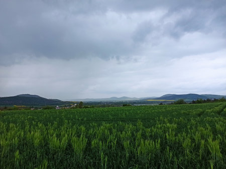 Vast green field under cloudy skies with distant mountains visible in the background during early evening hoursの写真素材