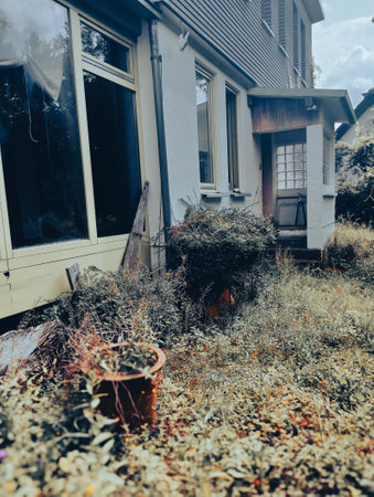 An old abandoned house stands in the middle of a dry autumn forest on a cloudy day.の写真素材