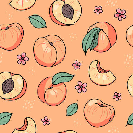 Peach or apricot hand drawn seamless pattern. Vector illustration in doodle styleのイラスト素材