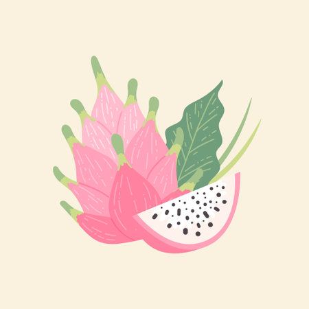Dragon fruit pitaya, whole fruit and a slice. Hand drawn colorful trendy vector illustrationのイラスト素材