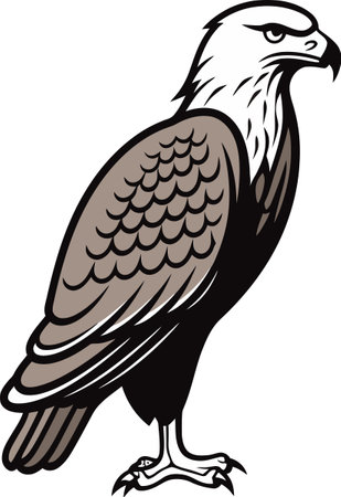 Sovereign Soar Dynamic Eagle Vector Designのイラスト素材