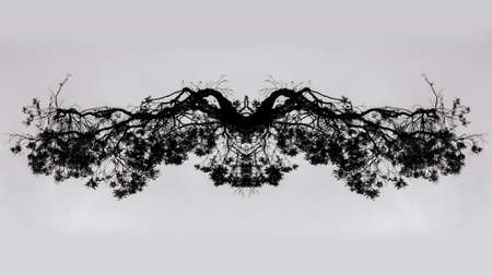 Reflected Tree : Eagle