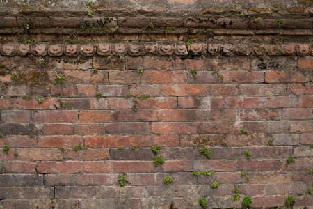 Mossy Brick Textureの写真素材