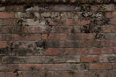 Mossy Brick Textureの写真素材