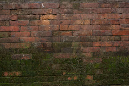 Mossy Brick Textureの写真素材