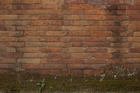 Mossy Brick Textureの写真素材