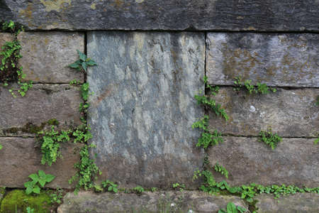Stone with Grass Textureの写真素材