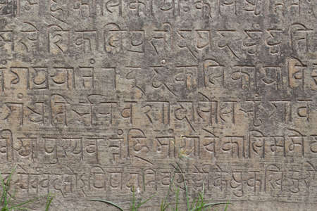 Arrayの写真素材