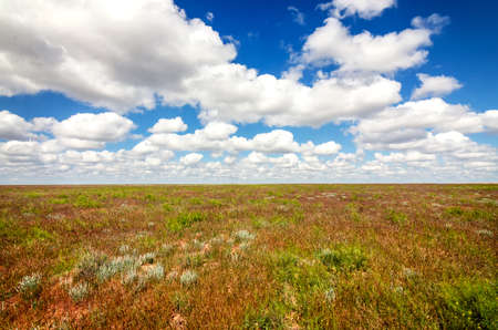 Astrakhan steppe under beautiful sky shoot in May. Spring is beautiful time. Hills are green and covered by emerald grass. Panorama of steppe near salt lake Baskunchak, Russiaの写真素材