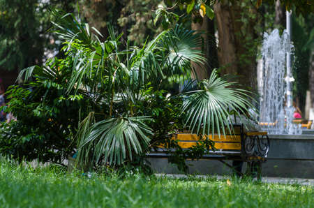 Kutaisi, Georgia, Older man is sleeping sitting on park bench.の写真素材