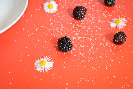 sugar and blackberries on red table backgroundの写真素材