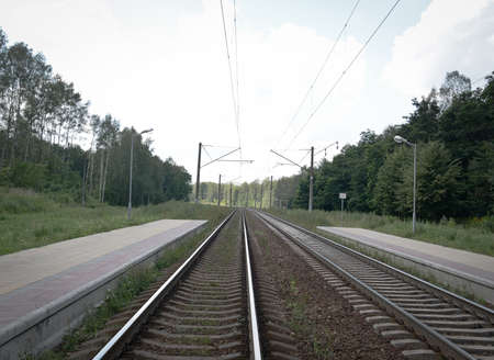 rails road in the forest a summer dayの写真素材