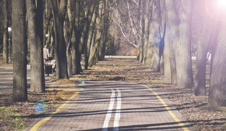 bike path in the park