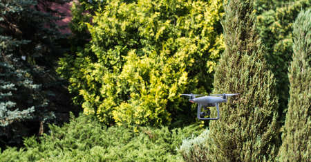 dron and green forestの写真素材