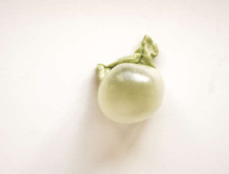 green chewing gum bubble isolated on white backgroundの写真素材