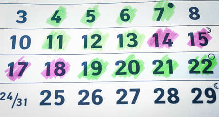 pregnancy calendar backgroundの写真素材