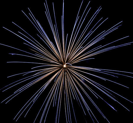 Fireworks light up the sky