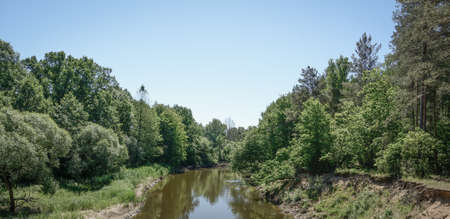 forest river lanscape