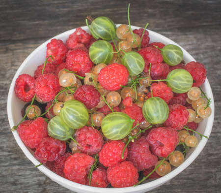 berry platter in a plateの写真素材