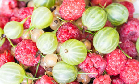 berry mixed close up