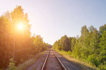 Train rails in the forest, solar effectの写真素材