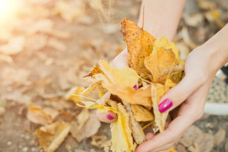 autumn abstract background with woman hands close up