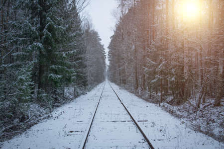 abandoned old railway in the winter forest