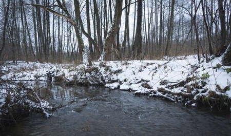 forest stream landscape, winter or spring time