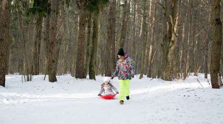 Cheerful mom and daughter in winter forestの写真素材